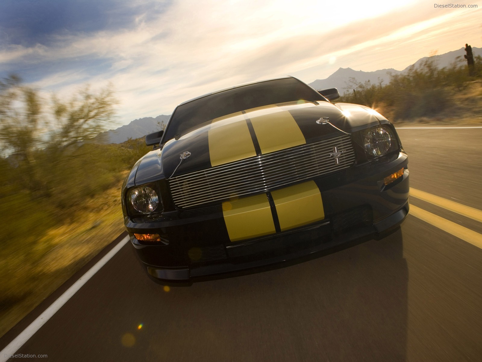 Ford Shelby GT-H
